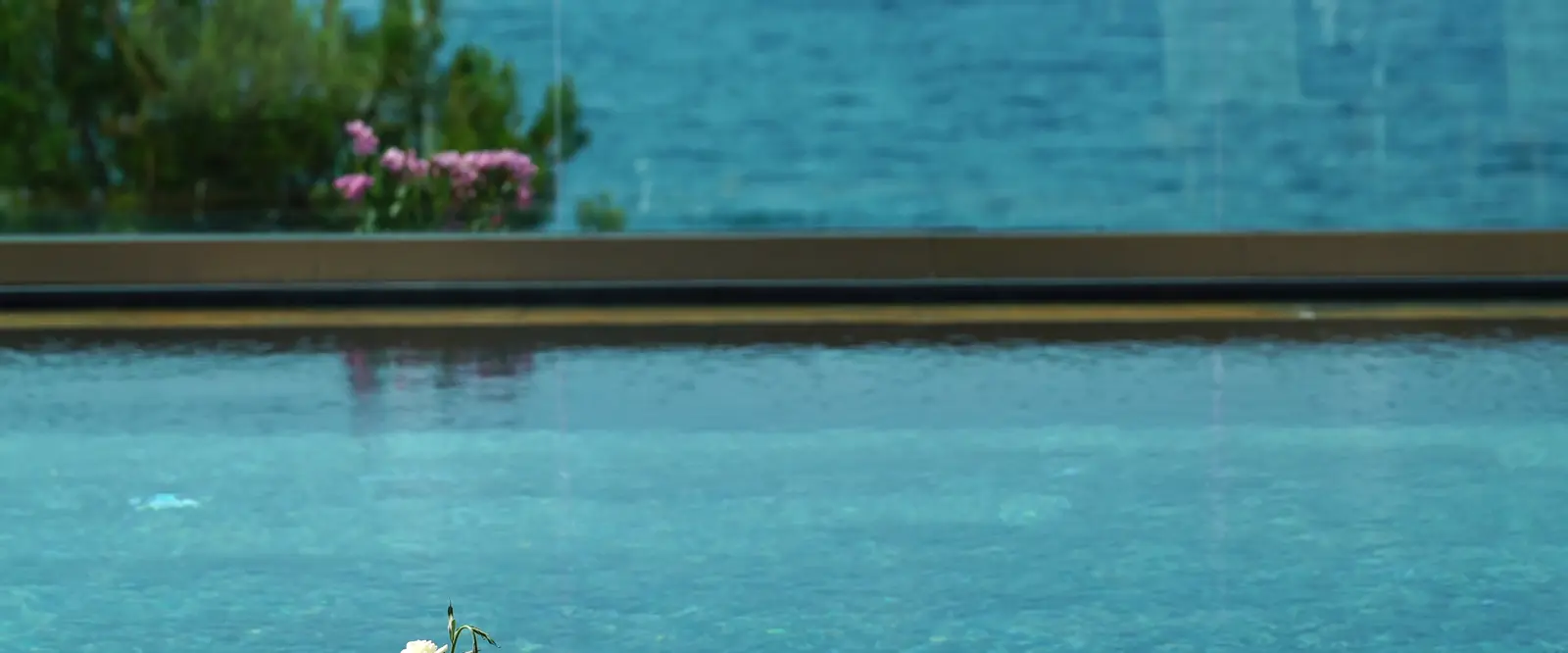 Piscina infinity con vista al mar